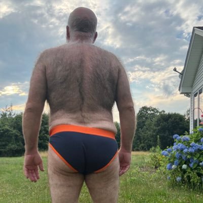 BostonBearPig's profile picture