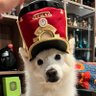 Merkatsu 的头像
