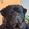 Tito profil fotoğrafı