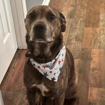 Rebel20349722's profile picture