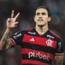 João Pedro's profile picture