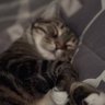 Brenda Lee profil fotoğrafı