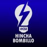 HinchaBombillo's profile picture