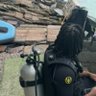F profil fotoğrafı
