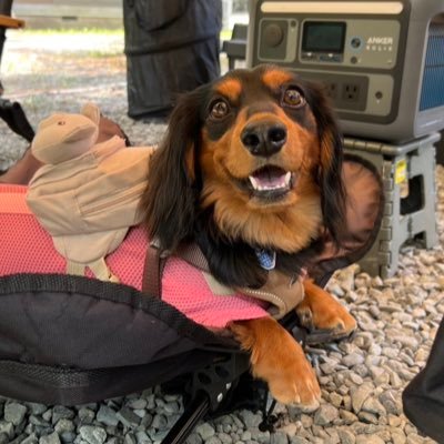 みらい's profile picture