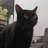 Profilbild von 内耗高手