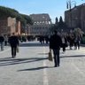 aehm alex profil fotoğrafı