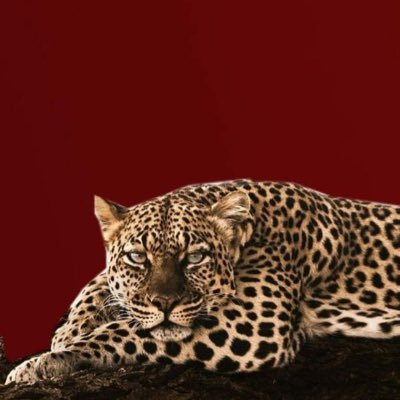 Bad_x02's profile picture