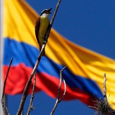Libre Oposición's profile picture