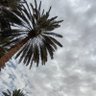 Фото профиля أبو أمير...