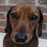 David's profile picture