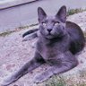 m.a.g.u.i profil fotoğrafı
