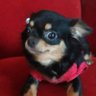 ann_18🫰 profil fotoğrafı
