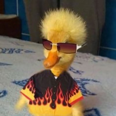 เขี้ยวเข้ว ᩚ( ー̀֊ー́ )✧'s profile picture