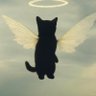 Nander_sol's profile picture