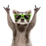 Leroy Brown's profile picture