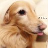 まみ's profile picture