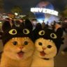 😍GL ปิ๊งป๊ะปุงปุงปุงป๊ะปิง แง่วววว WlW 😘🍻🏡🏡🌻's profile picture