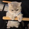 Tre'bemama profil fotoğrafı