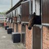 Фото профиля Lambourn Target