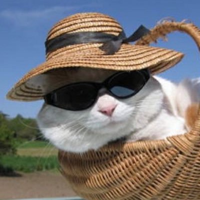 oasis0a43777's profile picture
