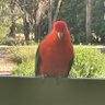 GPC's profile picture