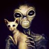 Profilbild von k14UD14