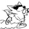 Pepe Llopis's profile picture