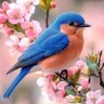 Kathy Marcon's profile picture