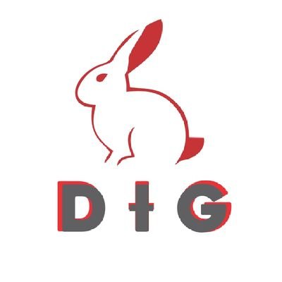 DIG🐇's profile picture