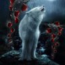 Lonnie Wolfe profil fotoğrafı