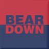 BearDown's profile picture