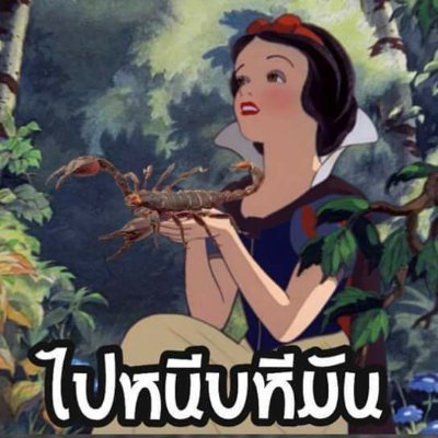 ยิงยาวสาวทั้งคืน's profile picture