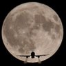 The Aviationist.'s profile picture