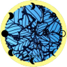 AhgaLouโ๏ธ๐๐๐'s profile picture