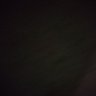 Profilbild von Rex