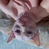 Volkan573's profile picture