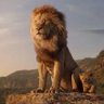LionKing 的头像