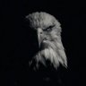 Ⓜ️Falcon profil fotoğrafı