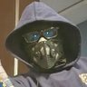 Jquaza's profile picture