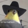 Profilbild von Krazy_crayon