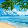 ابـــو حـــمـــد 的头像
