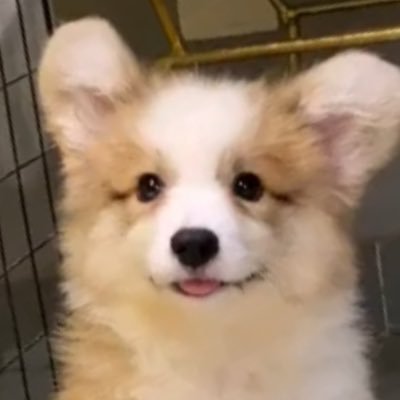 브릭's profile picture