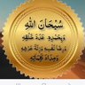 مسافر ترابی's profile picture