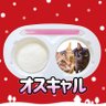 オスキャル🐈🐈⬛ profil fotoğrafı