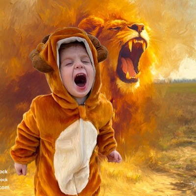 MichaelFuerst8's profile picture