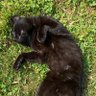 ayokod profil fotoğrafı