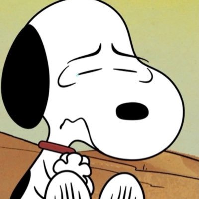 txsinatrafan's profile picture