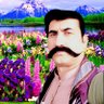 Zamir khan Amiri 的头像