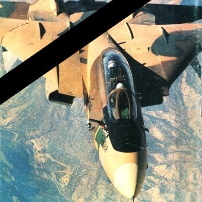 Aᴍɪʀ's profile picture